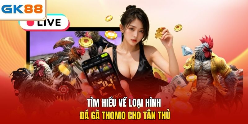 Tìm hiểu về loại hình đá gà thomo cho tân thủ
